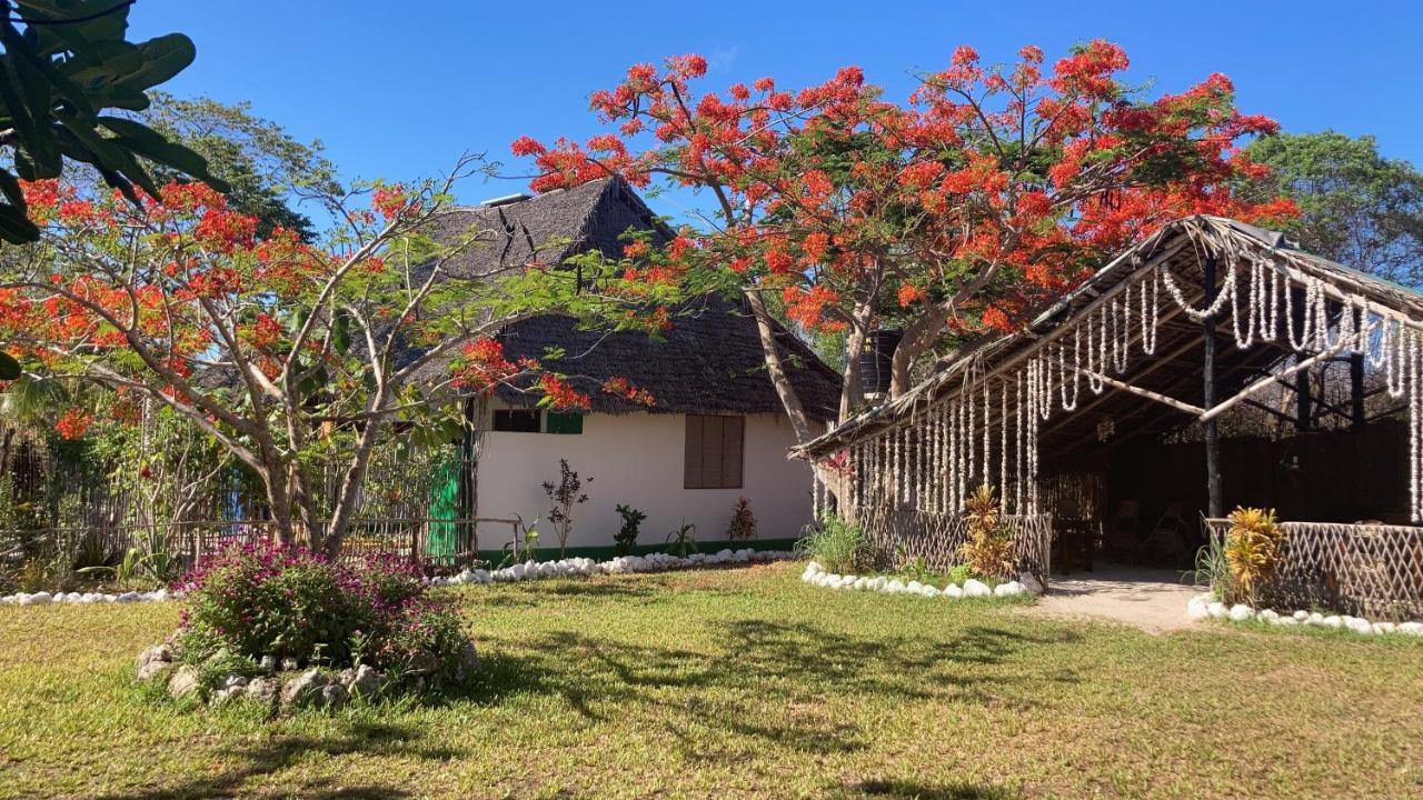 Botanica Eco Lodge Michamvi Esterno foto